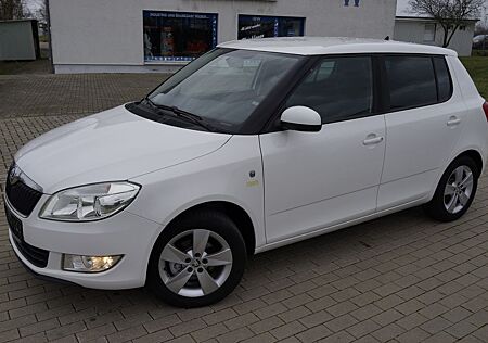 Skoda Fabia 1.2*Fresh*1 Hand*Klimaaut*Sitzhez*Temp*