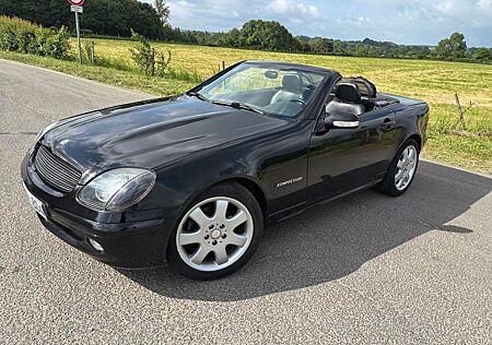Mercedes-Benz SLK 230 KOMPRESSOR - Leder Bose Chrom