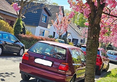 VW Golf Volkswagen 1.4 Standard