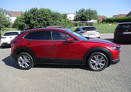 Mazda CX-30 2.0l M-Hybrid Matrix 360°Desing+Active Pa