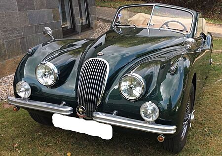 Jaguar XK *Traum* XK120 DHC SE - Matching, Service NEU