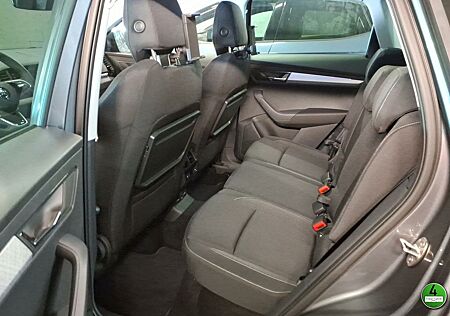 Skoda Karoq 2.0TDI DSG 4x4 Drive*AHK*360°*e.Heck*Vario