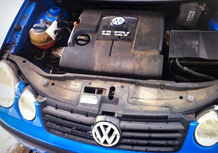 VW Polo Volkswagen IV Basis aus 1.HAND nur 555,-