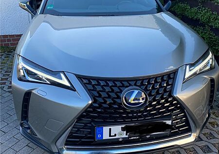 Lexus UX 250h Executive Line Executive Line