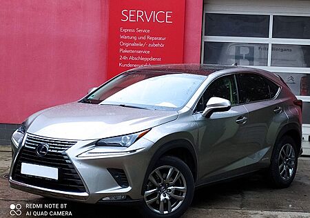 Lexus NX 300h NX 300 h OFFROAD HYBRID E-FOUR *AHK*Leder*