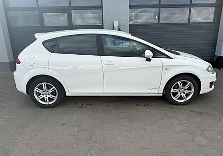 Seat Leon Style Copa Ecomotive