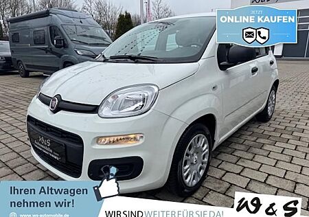 Fiat Panda MY25 1.0 GSE *5-Sitzer*GRA* PDC*Bluet.*