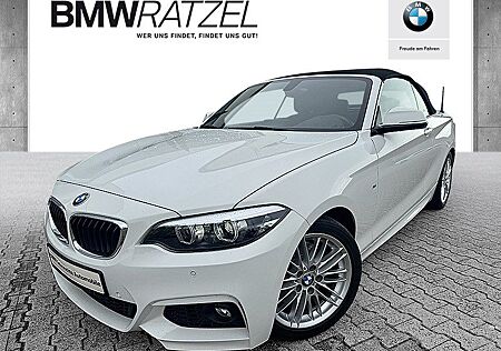 BMW 230i Cabrio M Sportpaket HK HiFi DAB WLAN RFK