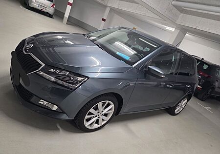 Skoda Fabia 1.0l TSI DSG CLEVER Sondermodell