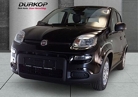 Fiat Panda Pandina Cross Mild Hybrid 1.0 GSE City Pak