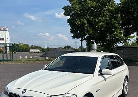 BMW 525 F11 2010