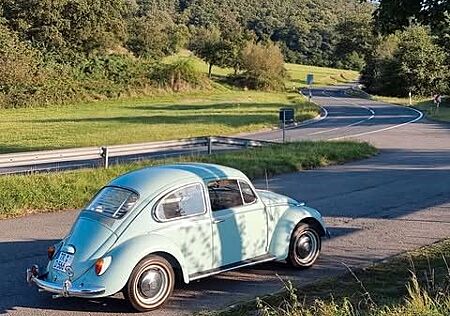 VW Käfer Volkswagen 1966 Bahamasblau