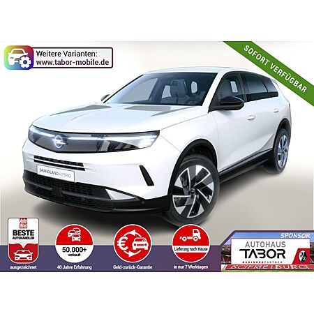 Opel Grandland X leasen