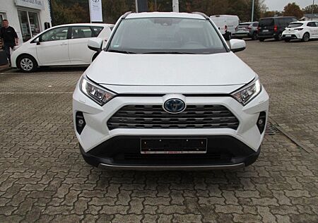 Toyota RAV 4 2.5 Hybrid 4x2 Team Deutschland - 2024