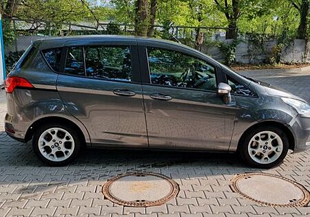 Ford B-Max Schiebetüren
