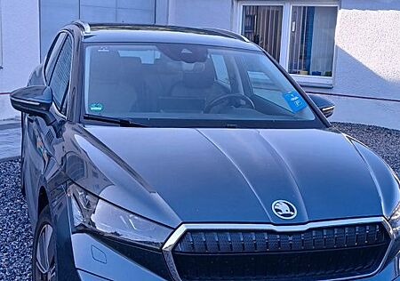 Skoda Enyaq IV 60, AHK, Matrix LED, adapt. Kurvenlicht