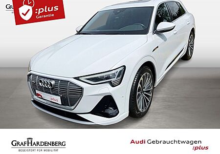 Audi e-tron 50 quattro S line LED GRA Navi Pano