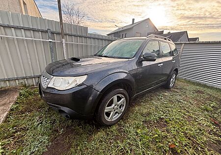 Subaru Forester 2,0D Euro 5 Panorama