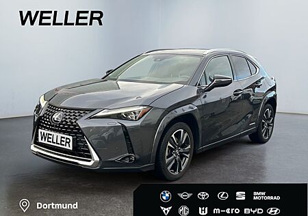 Lexus UX 250h (E-FOUR) Luxury Line*Matrix*360°*SHZ*PDC