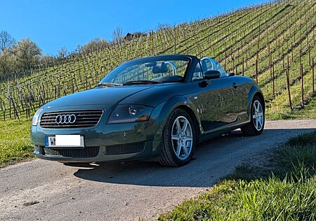 Audi TT Roadster/Cabrio 1.8T - Steppengras - TÜV
