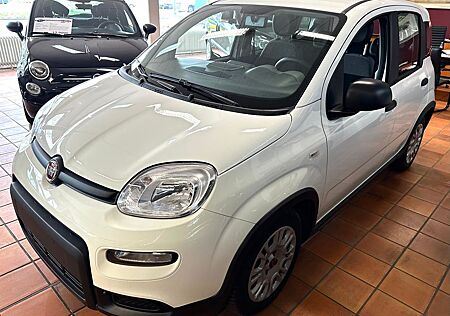 Fiat Panda Base 1.0 GSE Hybrid