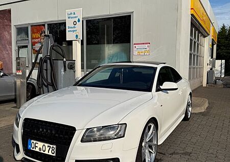 Audi A5 3.0 TDI (DPF) S tronic quattro -