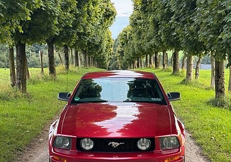 Ford Mustang GT 4.6l v8 Prince gasanlage