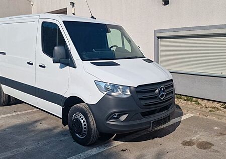 Mercedes-Benz Sprinter III Kasten RWD/AWD 515/517/519 CDI RWD