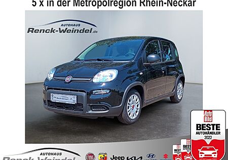 Fiat Panda Base 1.0 GSE DAB Klima el.SP Spieg. beheiz