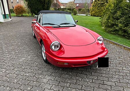 Alfa Romeo Spider