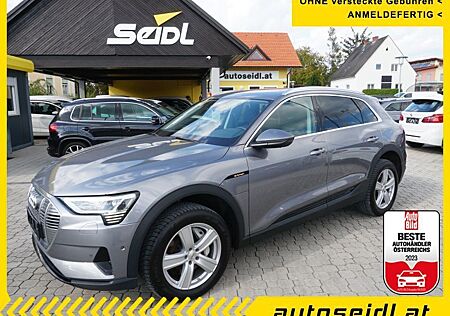 Audi e-tron 50 quattro *MATRIX+LEDER*