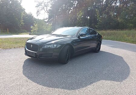 Jaguar XF E-Performance 163PS Prestige Automatik Pr...