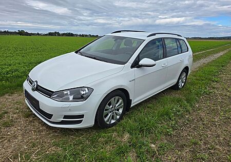 VW Golf Volkswagen 1.4 TGI Comfortline BlueMotion Variant ...