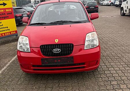Kia Picanto gebraucht kaufen Kia Picanto 1.1 LX