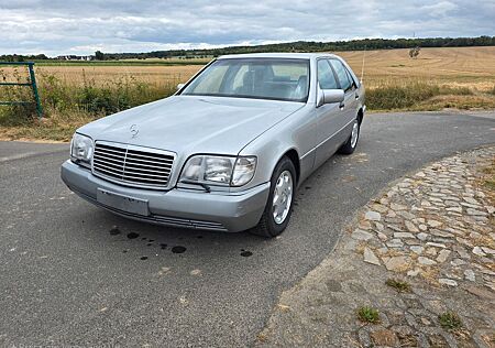 Mercedes-Benz S 320 H-Kennzeihen