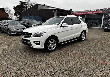 Mercedes-Benz ML 350 Bluetec AMG PANO 360 Grad ILS AHK