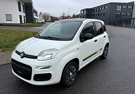 Fiat Panda 1.2/Klimaanlage /Scheckheft/Tüv neu
