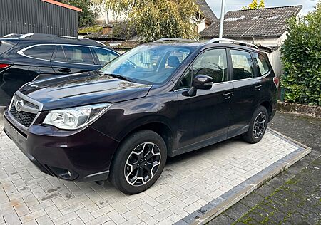 Subaru Forester gebraucht kaufen Subaru Forester Exclusive / 4 x 4 / Navi /Klima/ Xenon