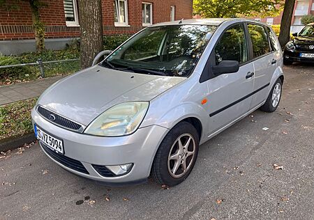 Ford Fiesta 1,3 51 kW Viva Viva