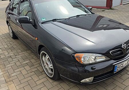 Nissan Primera 2.0 Comfort Comfort