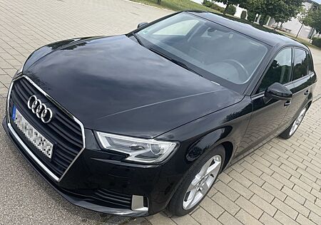 Audi A3 1.6 TDI Sportback-8V/Ambition/XEN/Standheizun