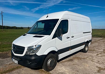 Mercedes-Benz Sprinter 516 CDI 2 Schiebet./Standhzg. /Temp