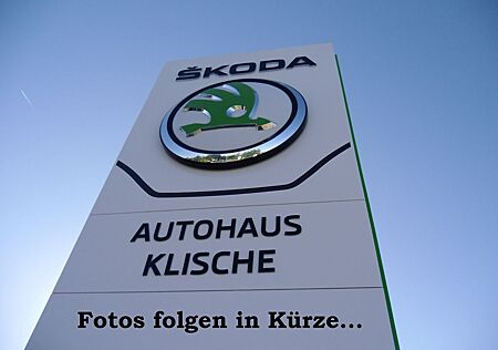 Skoda Karoq Selection TSI 110kW 150 PS