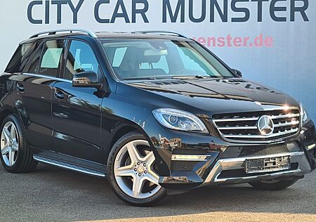 Mercedes-Benz ML 350 CDI BlueTec 4M AMG ACC SpurT.WinkStd.hzg