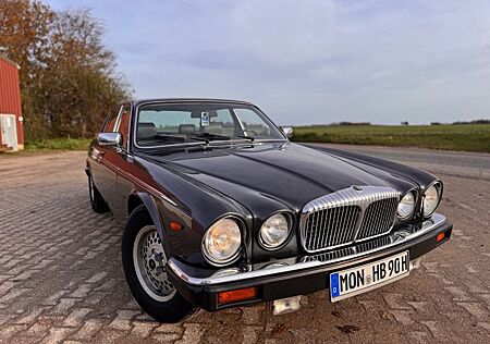 Jaguar XJ12