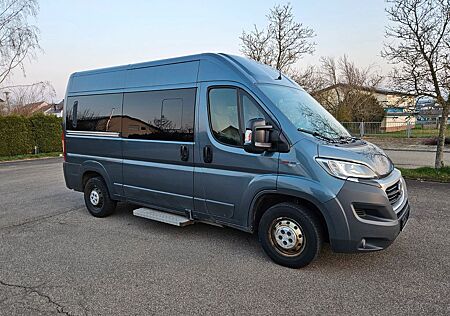 Fiat Ducato Luxusbus Panorama Modular 33 L2H2 9-Sitze