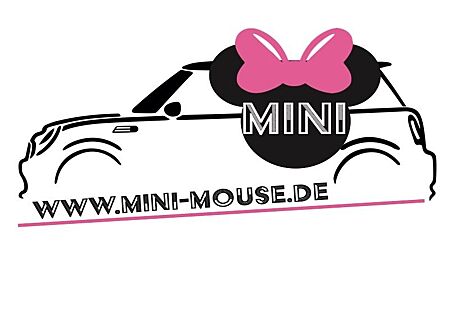 Mini John Cooper Works Cabrio*Leder*HuD*HiFi*RüKa*PDC