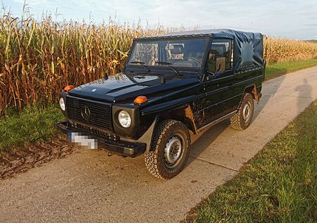 Mercedes-Benz G 250 GD 250 Wolf H Zulassung