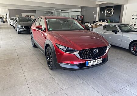 Mazda CX-30 2.0 186PS Exclusive-Line 360° Bose Navi SH