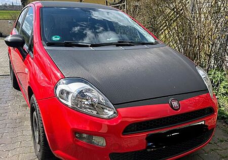 Fiat Punto 1.2 8V - Klima, 8-fach Bereifung